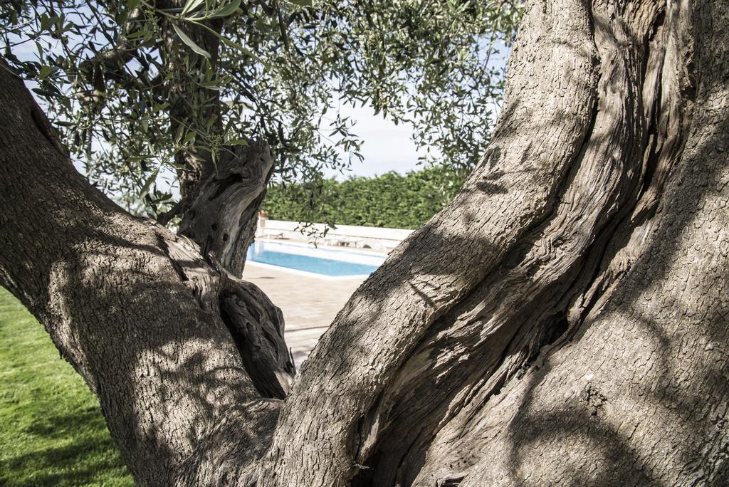 Masseria Gravelle Hotel Turi Exterior photo